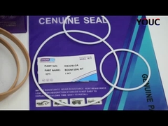 Kit Segel Boom Doosan DX225LCA untuk Perbaikan Silinder Hidrolik Excavator